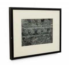Black And White Photograph Of Streetscape With Flowering Tress - 3173888