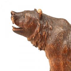 Black Forest Carved Walnut Bear - 4408141