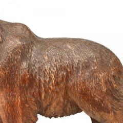 Black Forest Carved Walnut Bear - 4408142