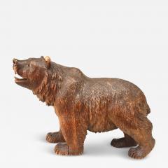 Black Forest Carved Walnut Bear - 4412453