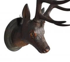 Black Forest Carved Walnut Deer Head Trophy Mount - 4140166