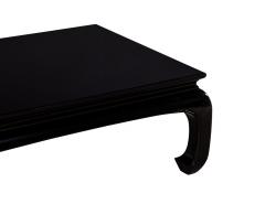 Black High Gloss Polished Coffee Table - 2681021