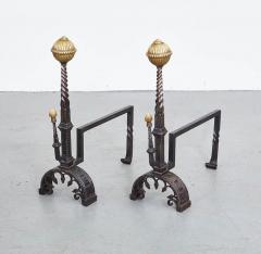 Black Iron and Brass Andirons - 3460278