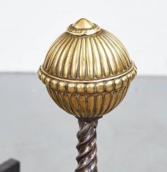 Black Iron and Brass Andirons - 3460279