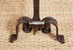 Black Iron and Brass Onion Finial Andirons - 3926380