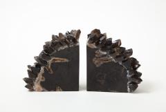 Black Petrified Wood Quartz Bookends - 2231494