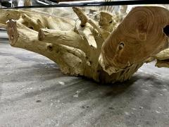 Bleeched Teak Root Sofa Coffee Table With Safety Glass Plate Indonesia 2022 - 3483749