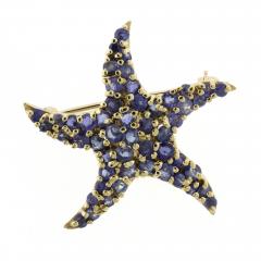 Blue Sapphire Starfish Brooch - 4736390