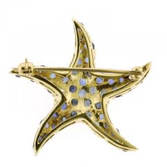Blue Sapphire Starfish Brooch - 4736396