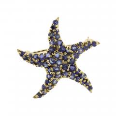 Blue Sapphire Starfish Brooch - 4738415