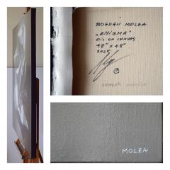 Bogdan Molea Enigma - 4331269