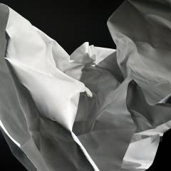 Bogdan Molea Surprise - 4534209