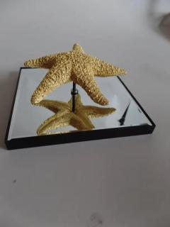 Bolette Natanson 24 Starfish and Mirror Wall Decorations - 4105552