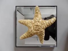 Bolette Natanson 24 Starfish and Mirror Wall Decorations - 4105562