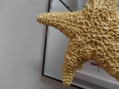 Bolette Natanson 24 Starfish and Mirror Wall Decorations - 4105564
