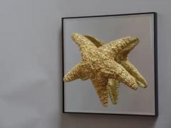Bolette Natanson 24 Starfish and Mirror Wall Decorations - 4105566