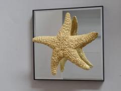 Bolette Natanson 24 Starfish and Mirror Wall Decorations - 4105567