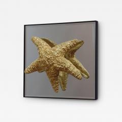 Bolette Natanson 24 Starfish and Mirror Wall Decorations - 4106030