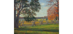 Bradley Stevens Battlefield Light 2019 - 2815623