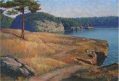 Bradley Stevens Lone Tree at Rosario Head 2017 - 2820250