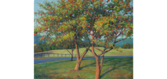 Bradley Stevens September Crab Apples - 2815636