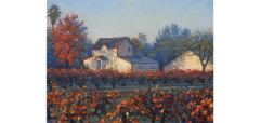 Bradley Stevens Vineyard Morning 2016 - 2815626