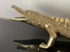 Brass Crocodile or Alligator Sculpture Pet - 1002359