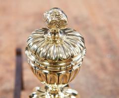 Brass Pomegranate Andirons - 3039302