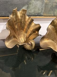 Brass Shell Form Candle Holders Catchalls a Pair - 3465143