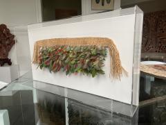 Brazilian Feather Headdress Guajajara Tribe Ex Museum Piece - 2344115