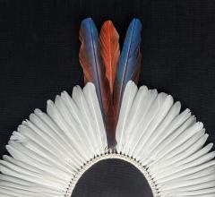 Brazilian Kayap Tribe Indigenous Feather Headdress Cocar from the Amazon - 4322303
