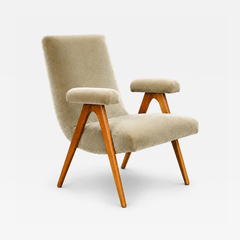 Brazilian Modern Armchair in Sage Greige Mohair and Hardwood Brazil - 4701108