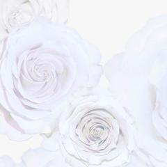 Brett Design BLOWN UP WHITE ROSES - 2783085