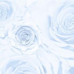 Brett Design BLOWN UP WHITE ROSES - 2783122