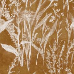 Brett Design CHALK FLOWERS - 2723918