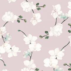 Brett Design ORCHIDS - 2889530