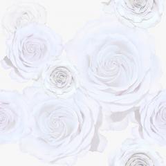 Brett Design WHITE ROSES - 2783096