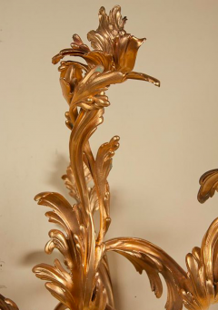 Bronze Louis XV Style Sconces - 2117552