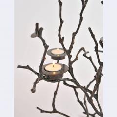 Bronze Magnolia Twigs - 1233766