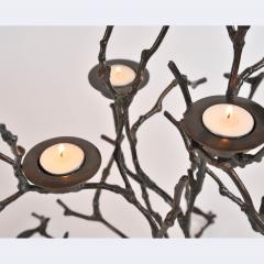 Bronze Magnolia Twigs - 1233768