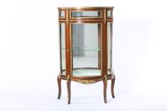 Bronze Mounted Louis XV Demilune Shape Case Cabinet - 1574278