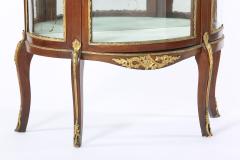 Bronze Mounted Louis XV Demilune Shape Case Cabinet - 1574283