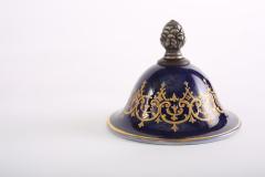 Bronze Mounted S vres Porcelain Covered Urn - 1946125