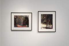 Bruno Gadenne The Hanging Nest 2021 - 3248307