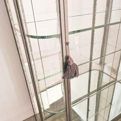 Brushed Steel Mirrored French Display Case Vitrine circa 1920 - 4720443