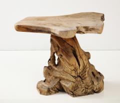 Brutalist Wabi Sabi Modern Tree Trunk Root Pedestal Table France c 1950 - 3106289