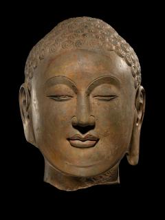 Buddha Head Northern Qi Period - 2556205