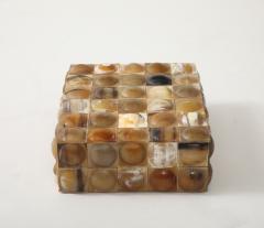Buffalo Horn Convex Dot Keepsake Box - 4294996
