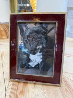 Burgundy and Brass Tabletop Picture Frame - 4800450