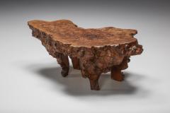Burl Wood Coffee Table Wabi Sabi 1850s - 2163234
